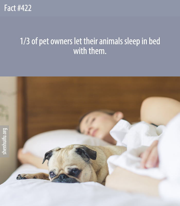 1/3 of pet owners let their animals sleep in bed with them.