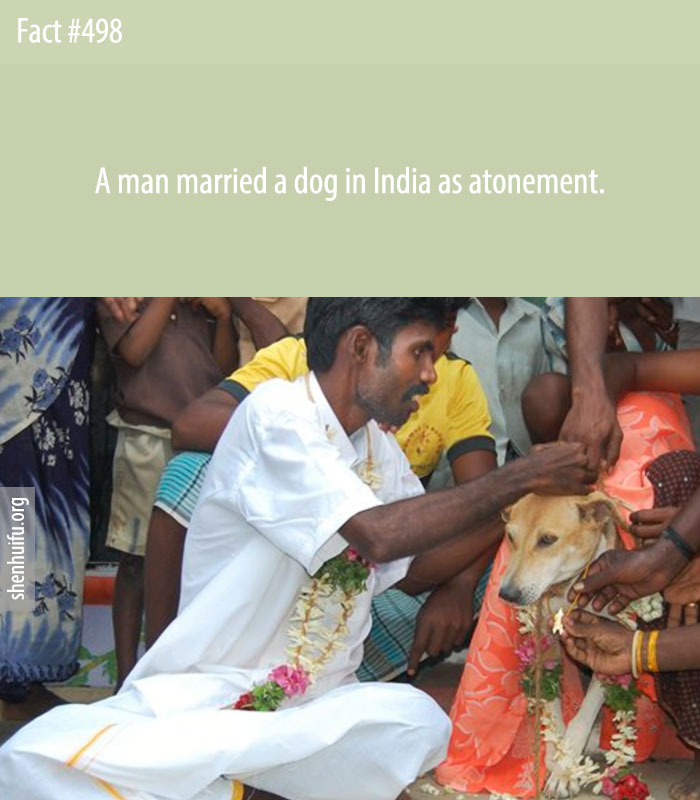 A man married a dog in India as atonement.