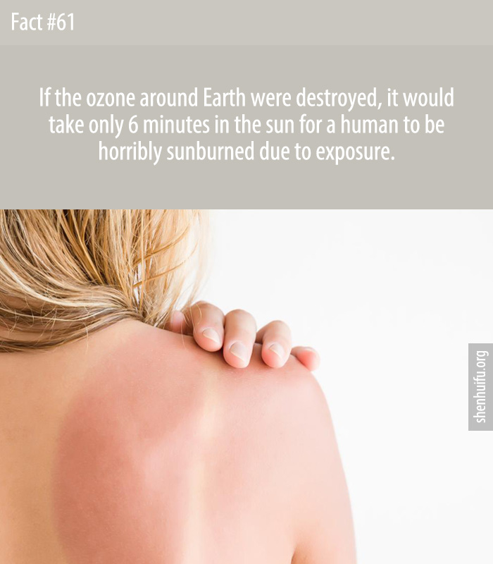 If the ozone around Earth were destroyed, it would take only 6 minutes in the sun for a human to be horribly sunburned due to exposure.