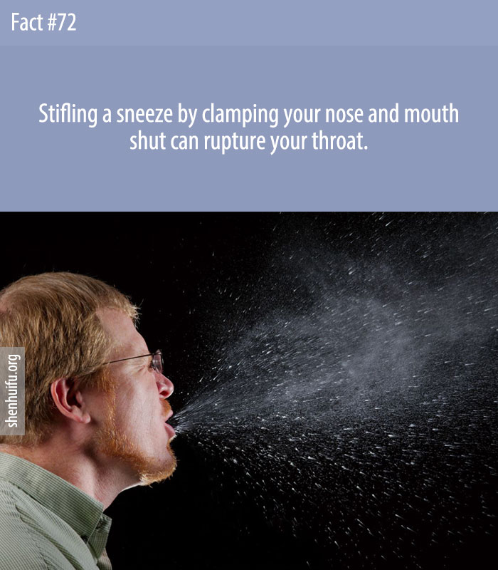 Stifling a sneeze by clamping your nose and mouth shut can rupture your throat.