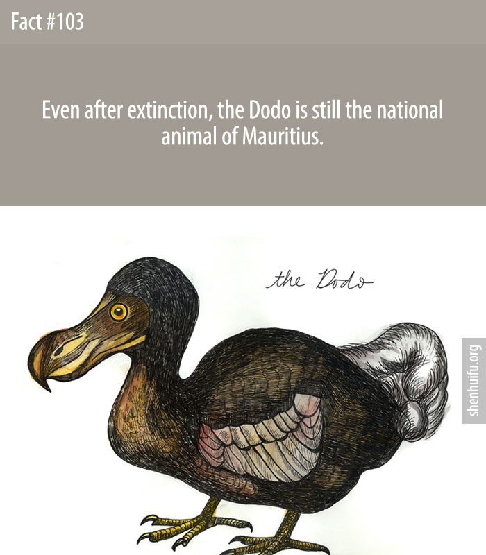 Even after extinction, the Dodo is still the national animal of Mauritius.