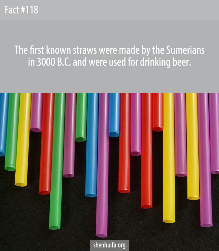 The first known straws were made by the Sumerians in 3000 B.C. and were used for drinking beer.