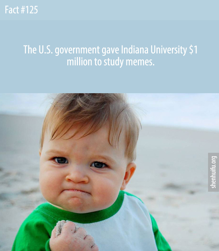 The U.S. government gave Indiana University $1 million to study memes.