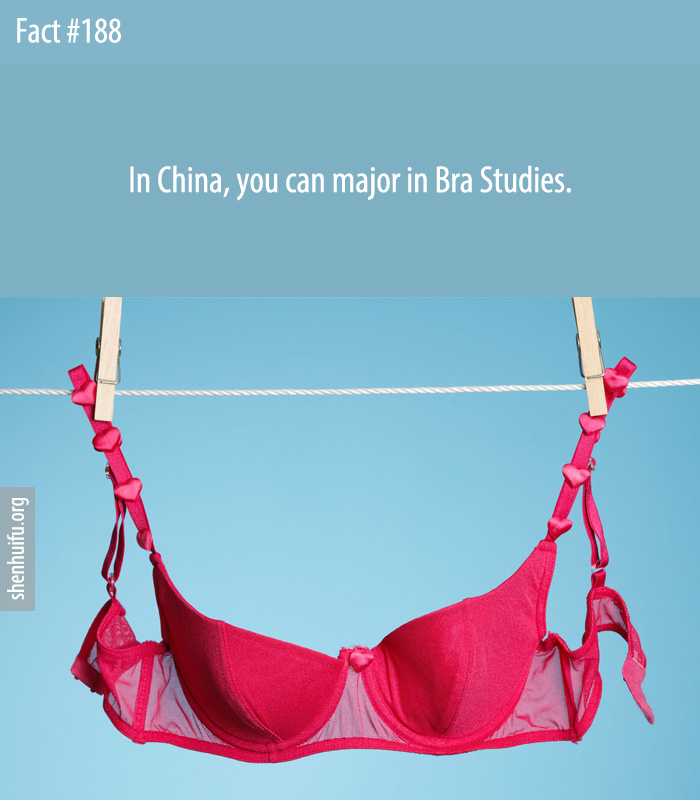 In China, you can major in Bra Studies.