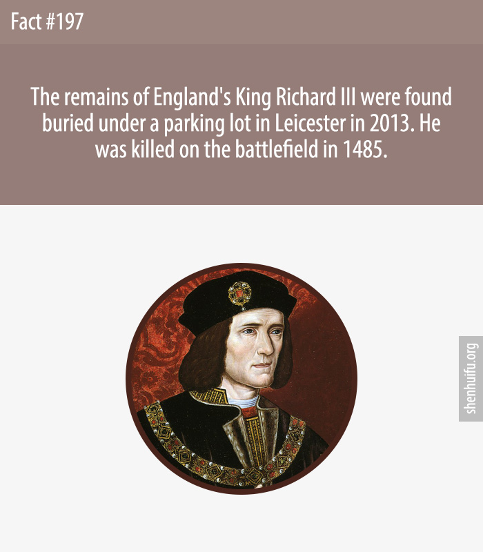 The remains of England's King Richard III were found buried under a parking lot in Leicester in 2013. He was killed on the battlefield in 1485.