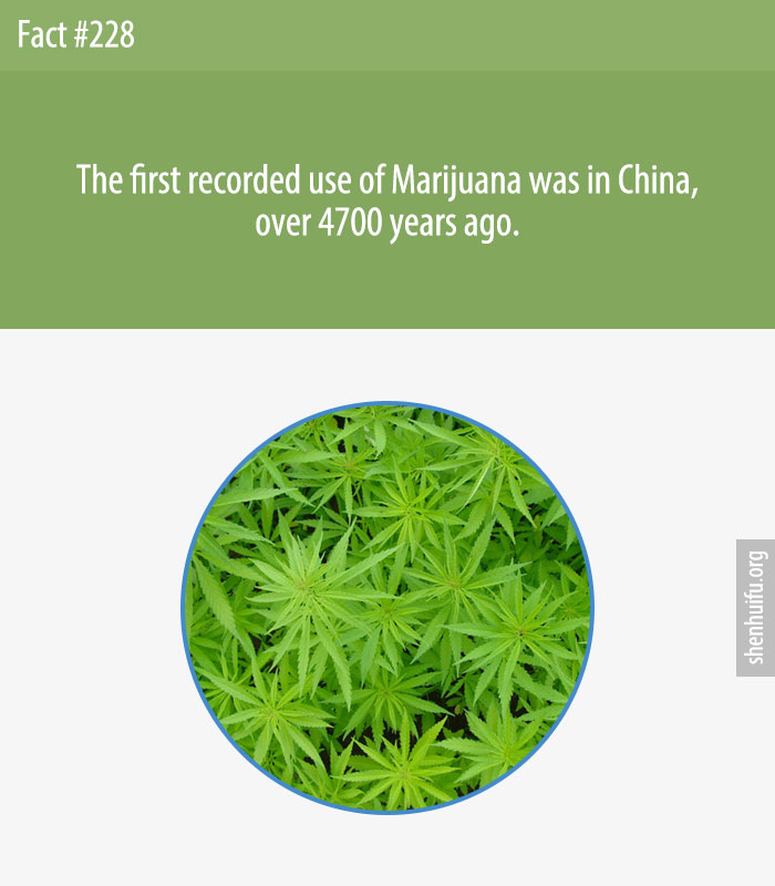 The first recorded use of Marijuana was in China, over 4700 years ago.
