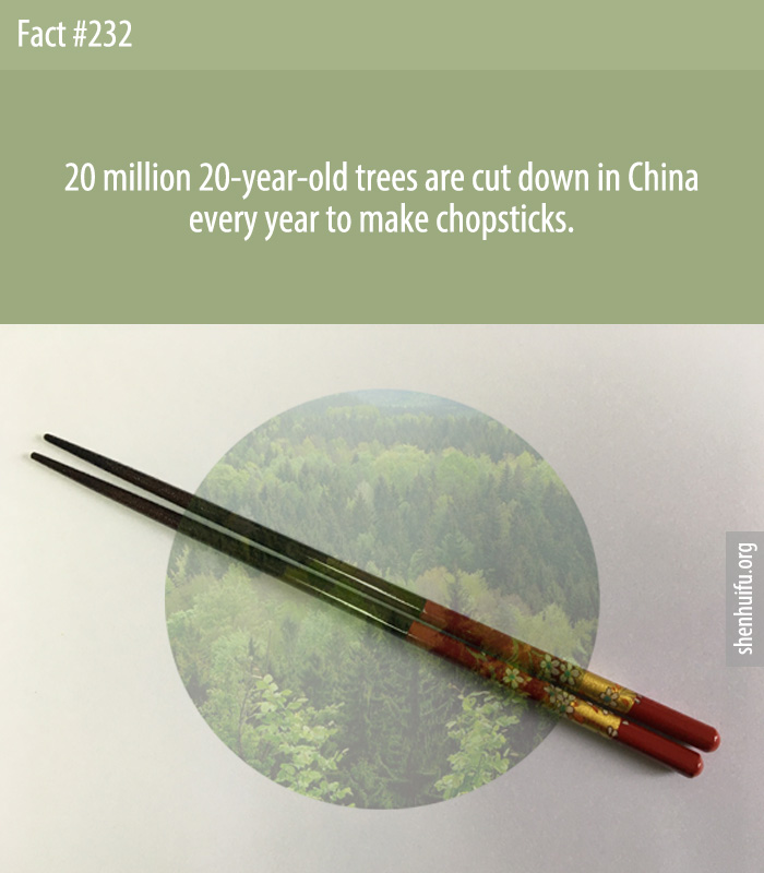 20 million 20-year-old trees are cut down in China every year to make chopsticks.