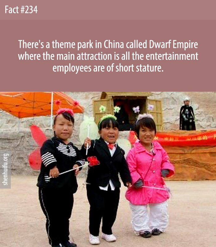 There's a theme park in China called Dwarf Empire where the main attraction is all the entertainment employees are of short stature.