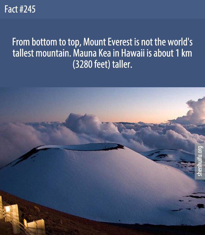 From bottom to top, Mount Everest is not the world's tallest mountain. Mauna Kea in Hawaii is about 1 km (3280 feet) taller.