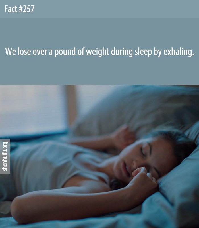 We lose over a pound of weight during sleep by exhaling.