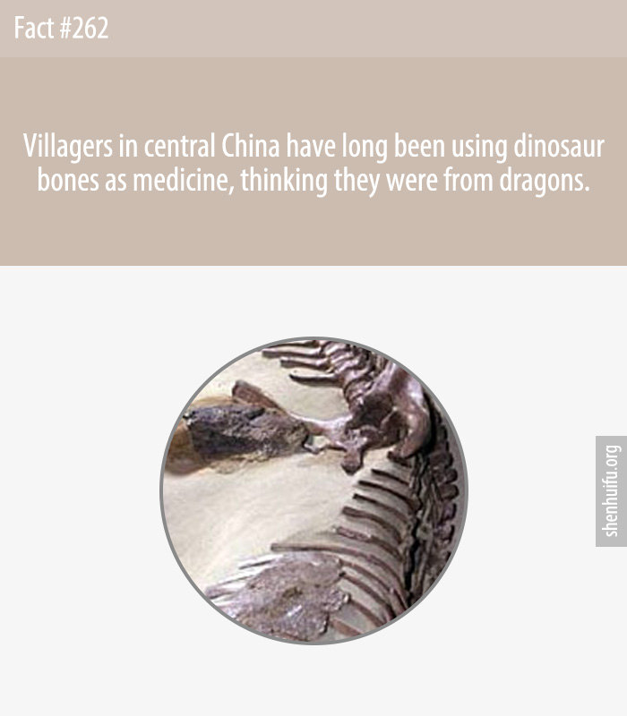 Villagers in central China have long been using dinosaur bones as medicine, thinking they were from dragons.