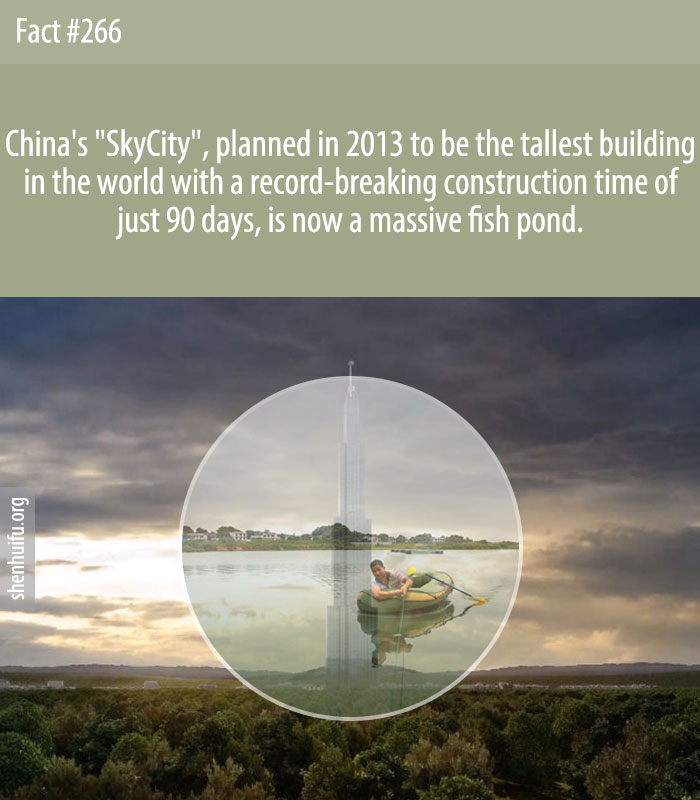 China's 'SkyCity', planned in 2013 to be the tallest building in the world with a record-breaking construction time of just 90 days, is now a massive fish pond.