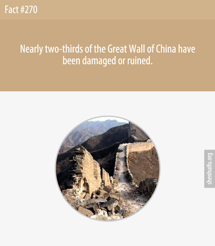 Nearly two-thirds of the Great Wall of China have been damaged or ruined.