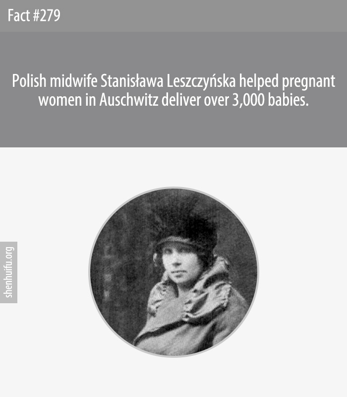 Polish midwife Stanislawa Leszczynska helped pregnant women in Auschwitz deliver over 3,000 babies.