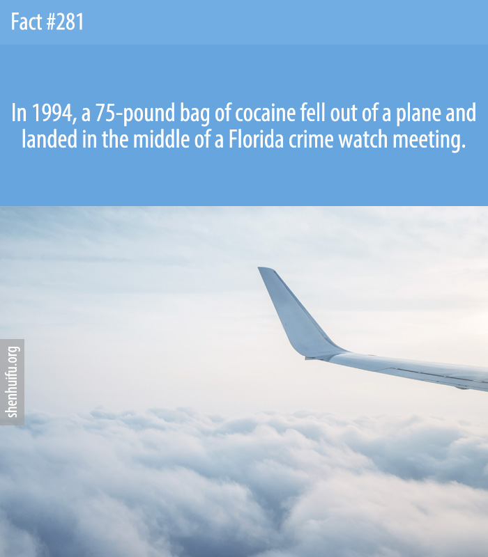 In 1994, a 75-pound bag of cocaine fell out of a plane and landed in the middle of a Florida crime watch meeting.