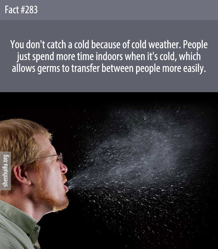 You don't catch a cold because of cold weather. People just spend more time indoors when it's cold, which allows germs to transfer between people more easily.