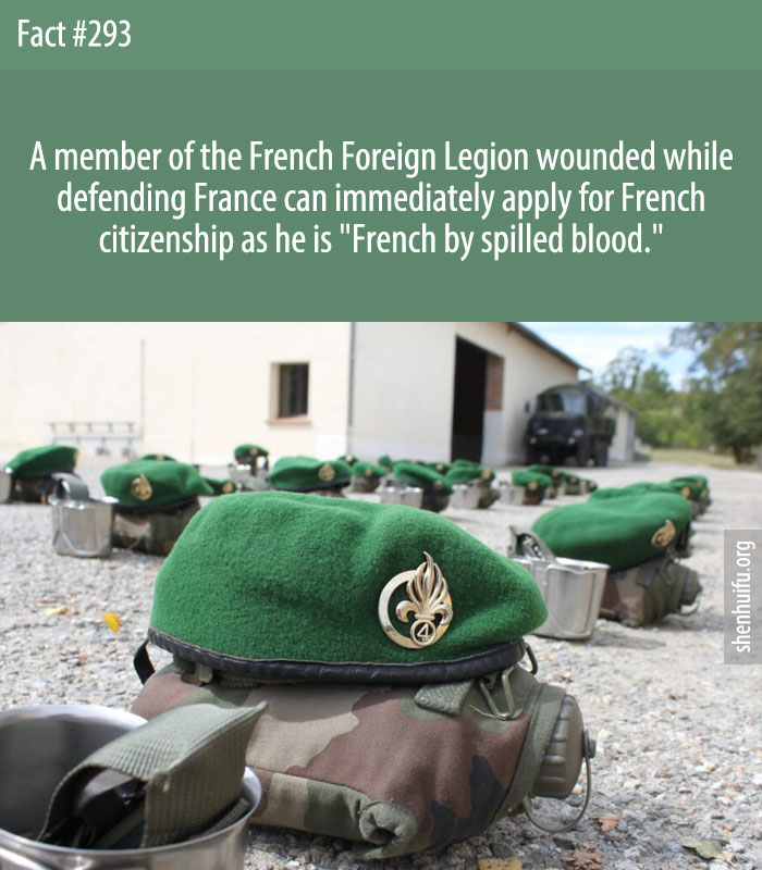 A member of the French Foreign Legion wounded while defending France can immediately apply for French citizenship as he is 'French by spilled blood.'