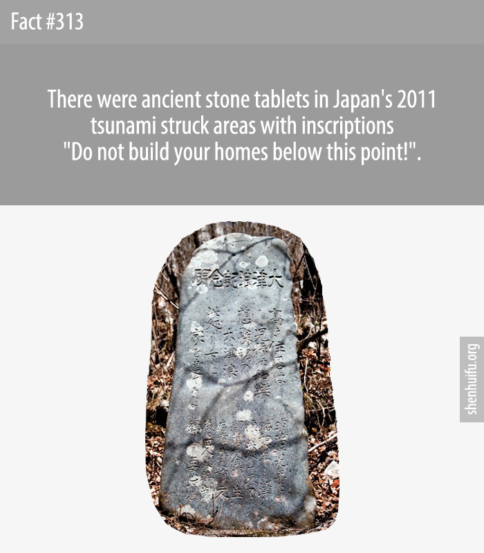 There were ancient stone tablets in Japan's 2011 tsunami struck areas with inscriptions 'Do not build your homes below this point!'.