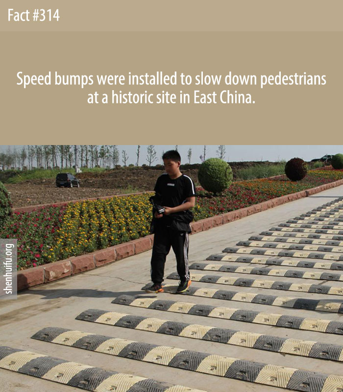Speed bumps were installed to slow down pedestrians at a historic site in East China.