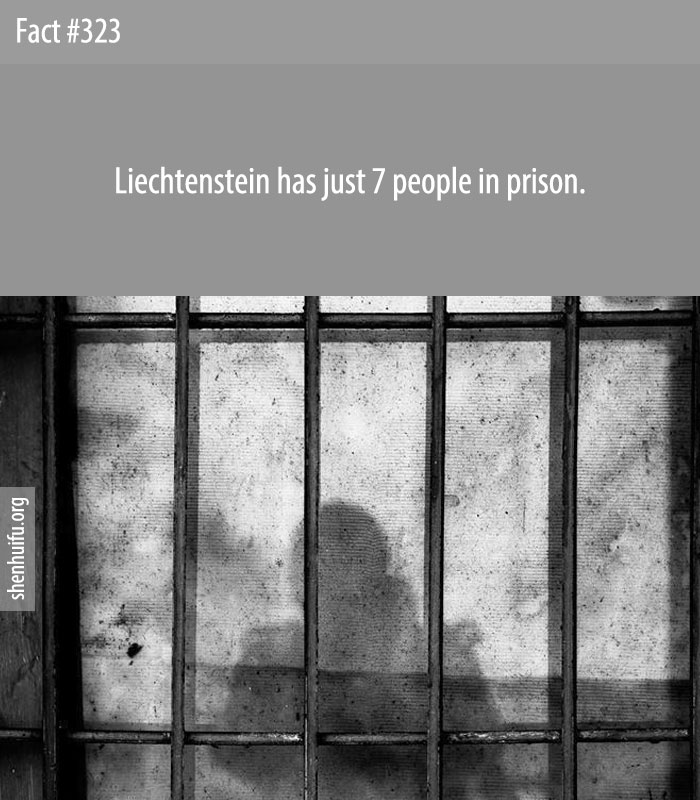 Liechtenstein has just 7 people in prison.