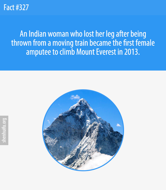An Indian woman who lost her leg after being thrown from a moving train became the first female amputee to climb Mount Everest in 2013.