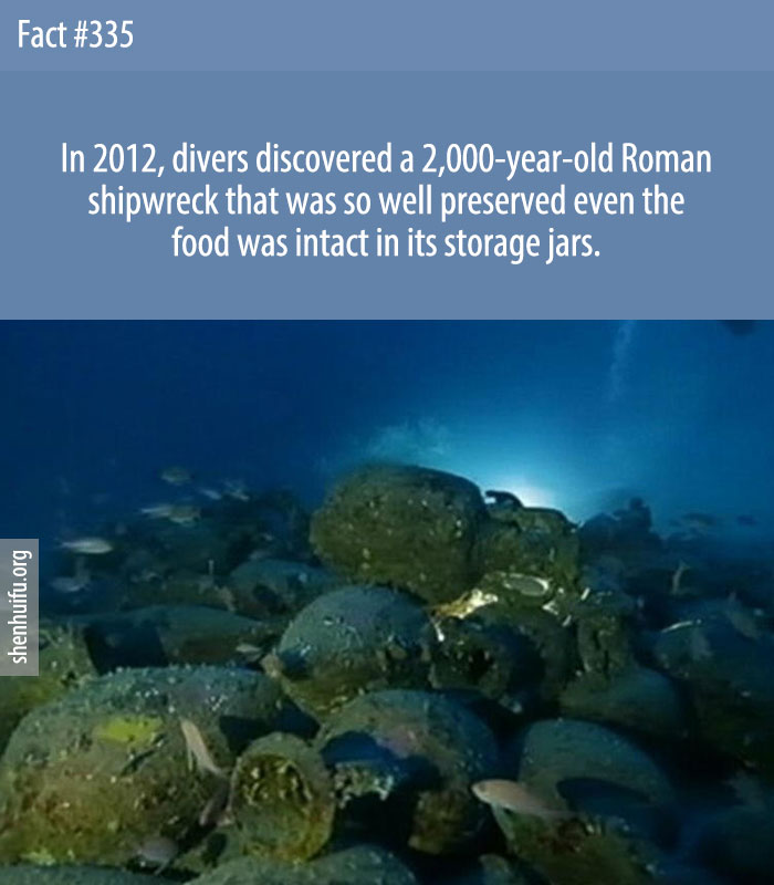 In 2012, divers discovered a 2,000-year-old Roman shipwreck that was so well preserved even the food was intact in its storage jars.