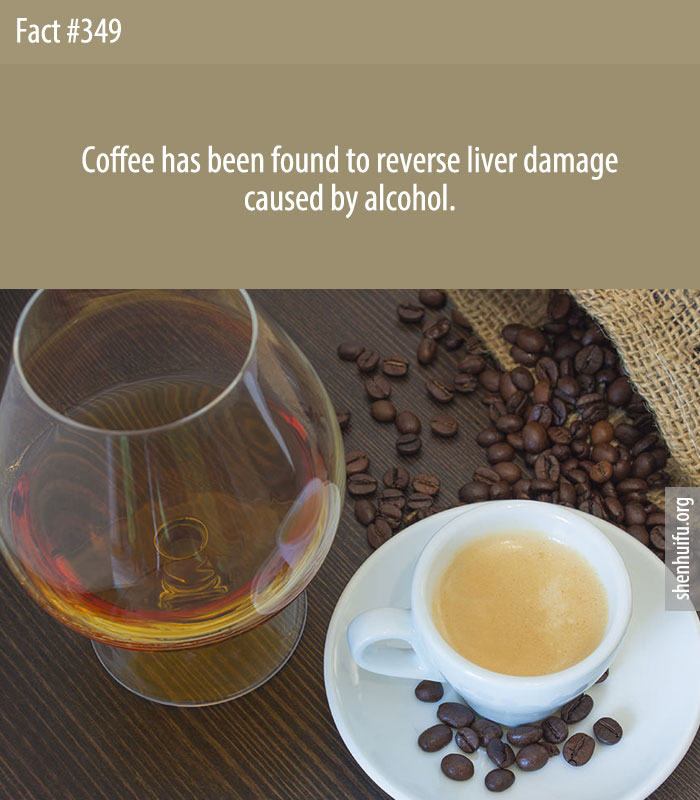 Coffee has been found to reverse liver damage caused by alcohol.