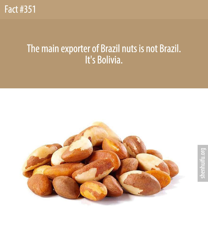 The main exporter of Brazil nuts is not Brazil. It's Bolivia.