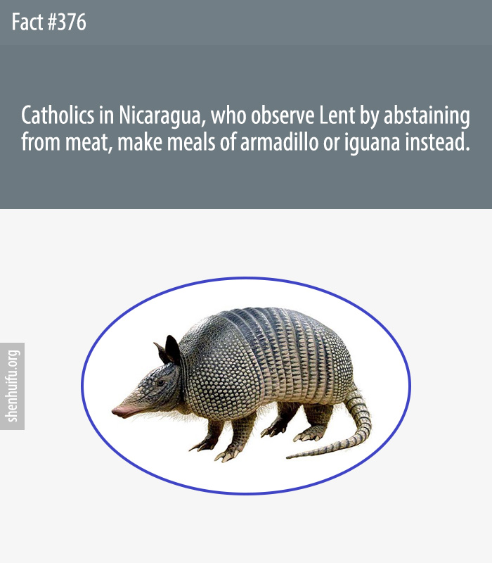 Catholics in Nicaragua, who observe Lent by abstaining from meat, make meals of armadillo or iguana instead.