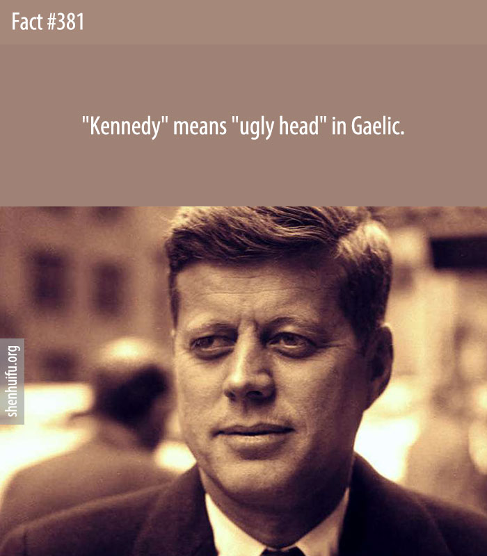 'Kennedy' means 'ugly head' in Gaelic.