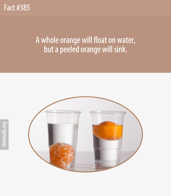 A whole orange will float on water, but a peeled orange will sink.