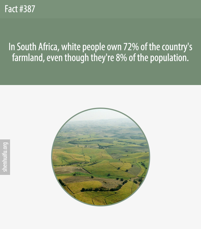 In South Africa, white people own 72% of the country's farmland, even though they're 8% of the population.
