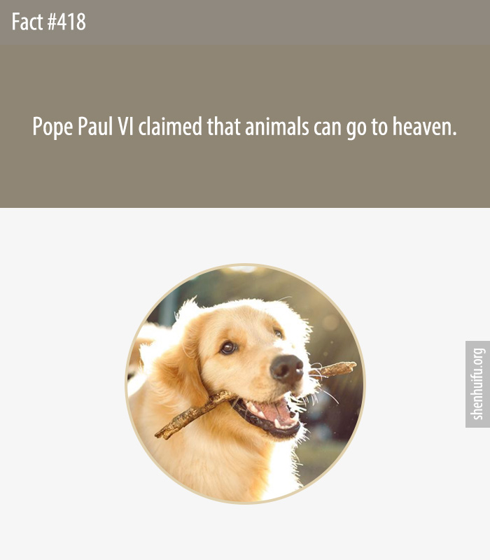 Pope Paul VI claimed that animals can go to heaven.