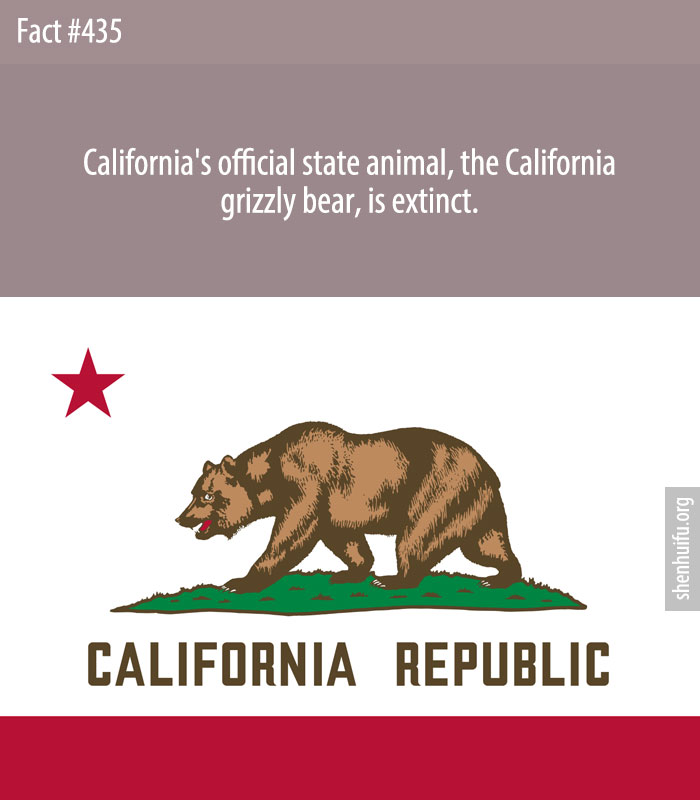 California's official state animal, the California grizzly bear, is extinct.