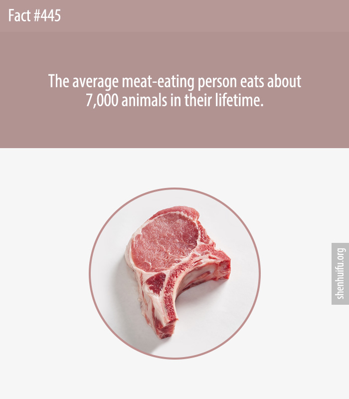 The average meat-eating person eats about 7,000 animals in their lifetime.