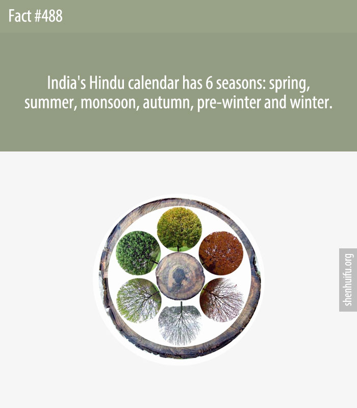 India's Hindu calendar has 6 seasons: spring, summer, monsoon, autumn, pre-winter and winter.