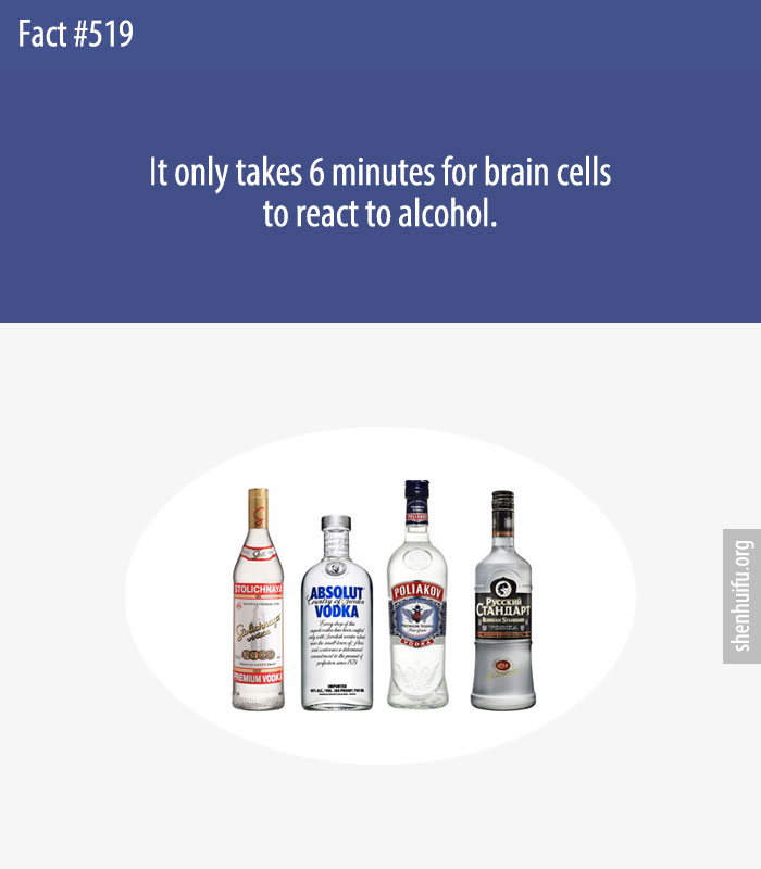 It only takes 6 minutes for brain cells to react to alcohol.