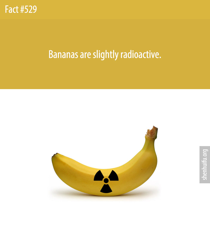 Bananas are slightly radioactive.