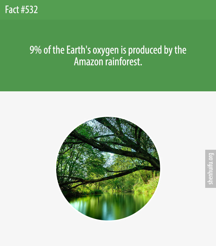 9% of the Earth's oxygen is produced by the Amazon rainforest.