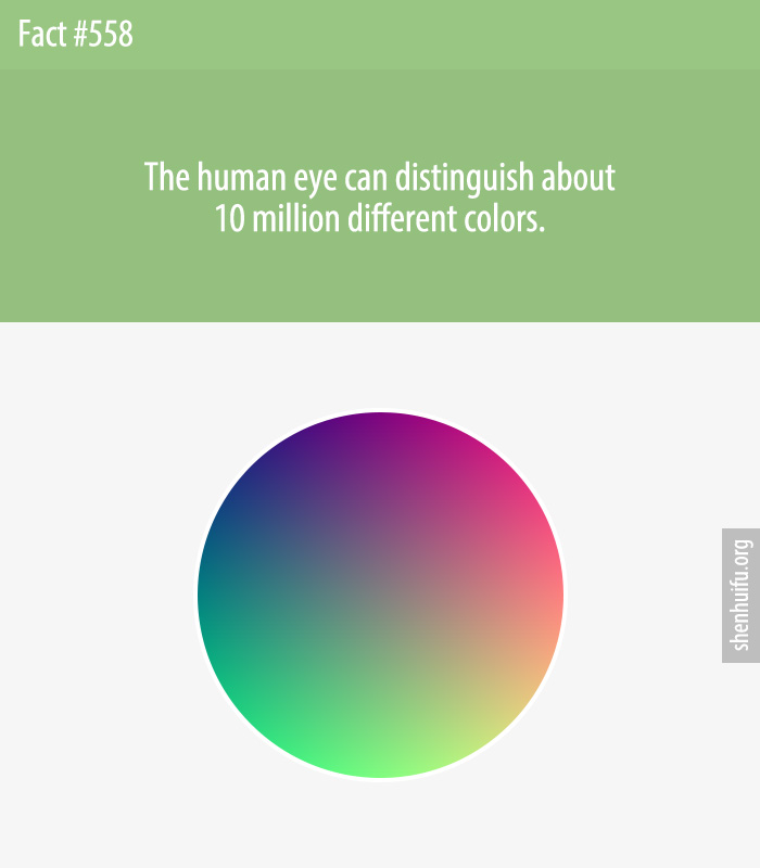 The human eye can distinguish about 10 million different colors.