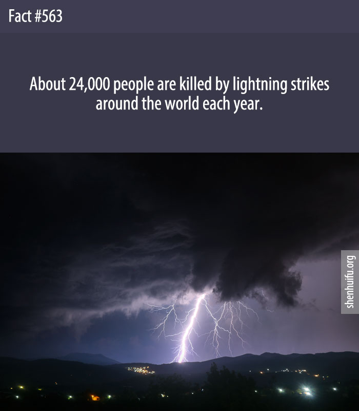 About 24,000 people are killed by lightning strikes around the world each year.