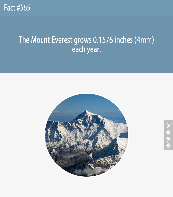 The Mount Everest grows 0.1576 inches (4mm) each year.