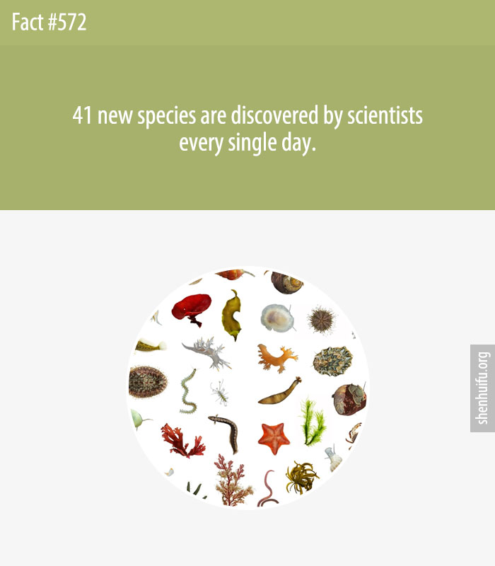41 new species are discovered by scientists every single day.