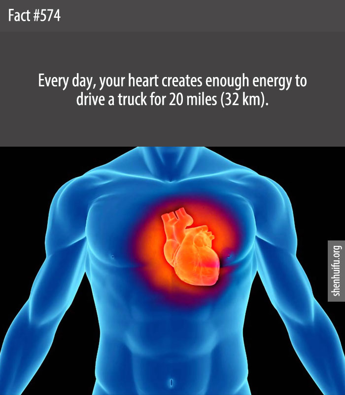Every day, your heart creates enough energy to drive a truck for 20 miles (32 km).
