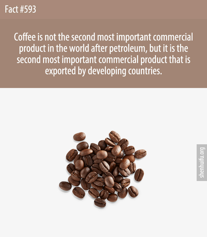 Coffee is not the second most important commercial product in the world after petroleum, but it is the second most important commercial product that is exported by developing countries.