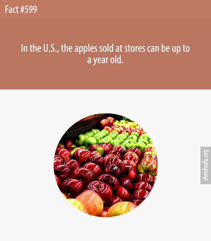 In the U.S., the apples sold at stores can be up to a year old.