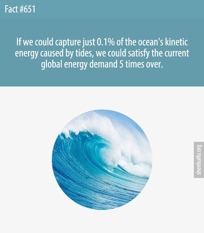 If we could capture just 0.1% of the ocean's kinetic energy caused by tides, we could satisfy the current global energy demand 5 times over.