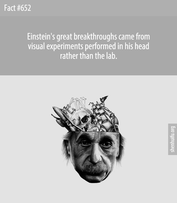 Einstein's great breakthroughs came from visual experiments performed in his head rather than the lab.