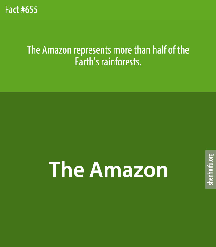 The Amazon represents more than half of the Earth's rainforests.
