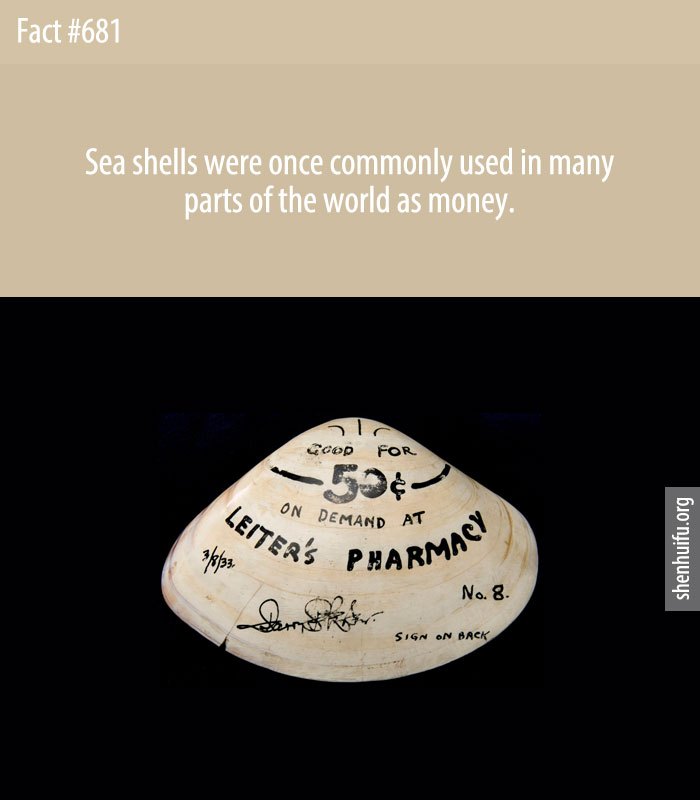 Sea shells were once commonly used in many parts of the world as money.